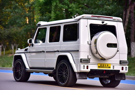 威海二手奔驰G级 2013款 G 500