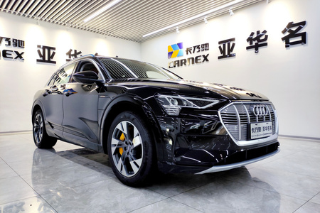 芜湖二手奥迪e二手tron 2020款 55 quattro 技术版